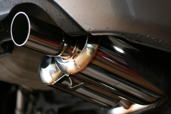 531 syokuou2 IMG_9266.jpg